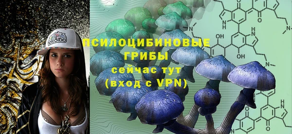 прущий лед Армянск