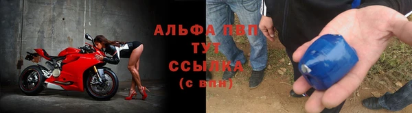 дмт Арсеньев