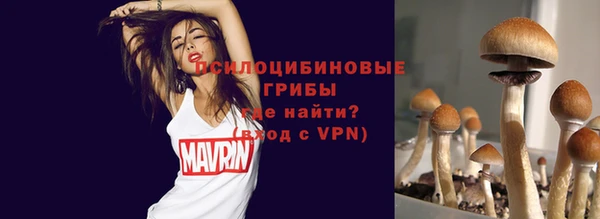дмт Арсеньев